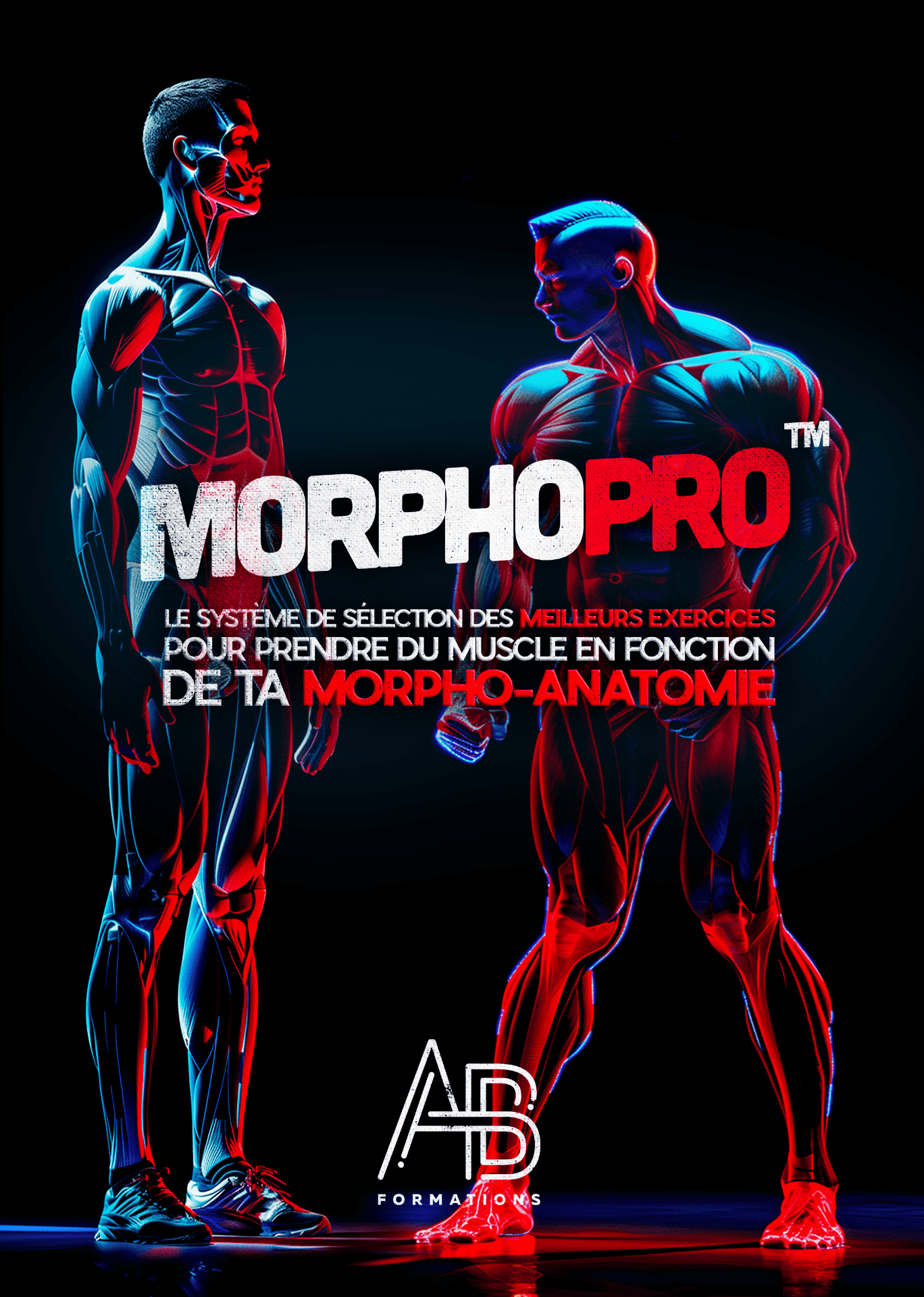 Visuel de la formation MorphoPro™